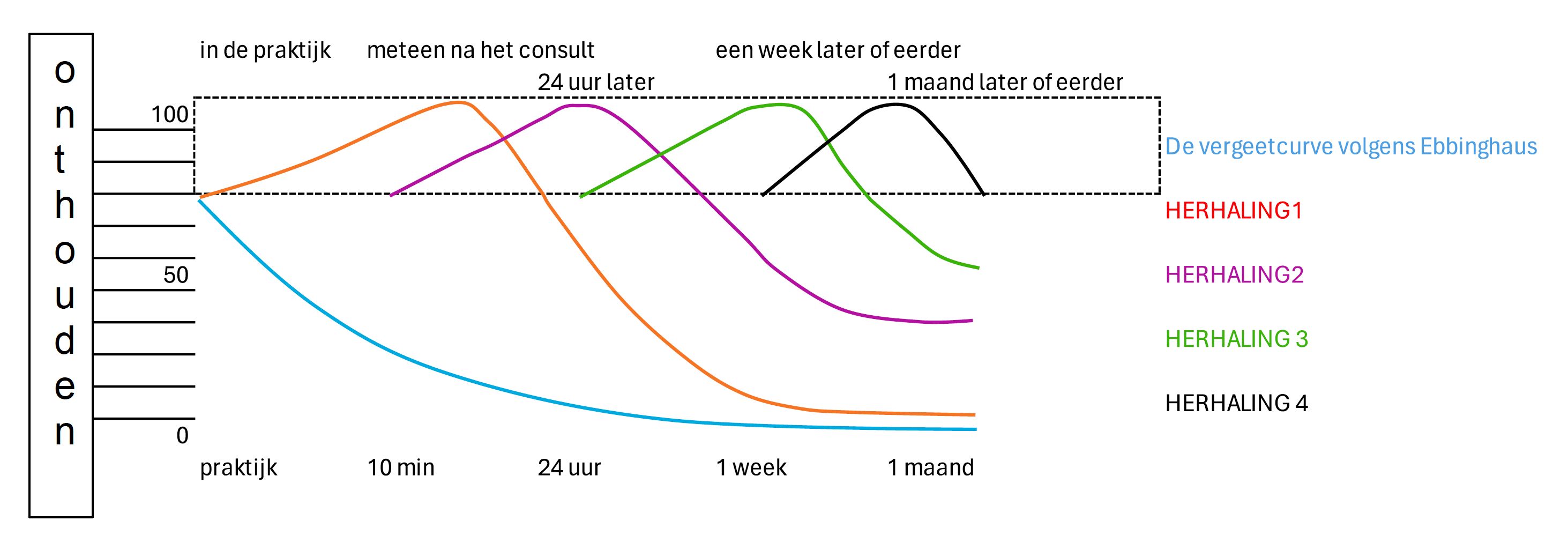 De vergeetcurve van Ebbinghaus